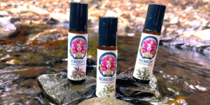 Empower Your Wellness Routine with Idol Oils