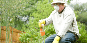 6 Crucial Reasons to Prioritize Pest Control in the Summer