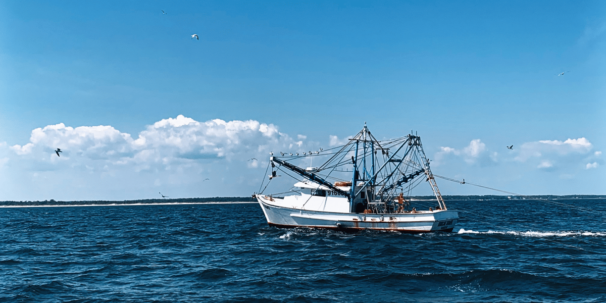 Why You Should Take Your Family on a Fishing Charter Trip
