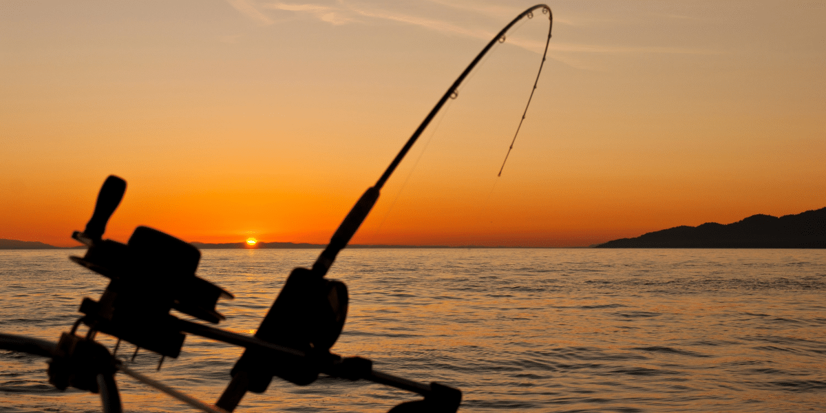 5 Tips for Finding a Fishing Charter That Works for You