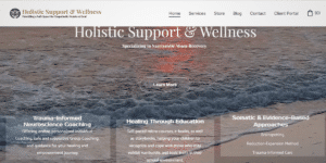 Holistic Support & Wellness Pioneers Innovative Trauma Recovery Approach