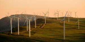 Australia Boosts Renewable Energy Investments for a Green Future