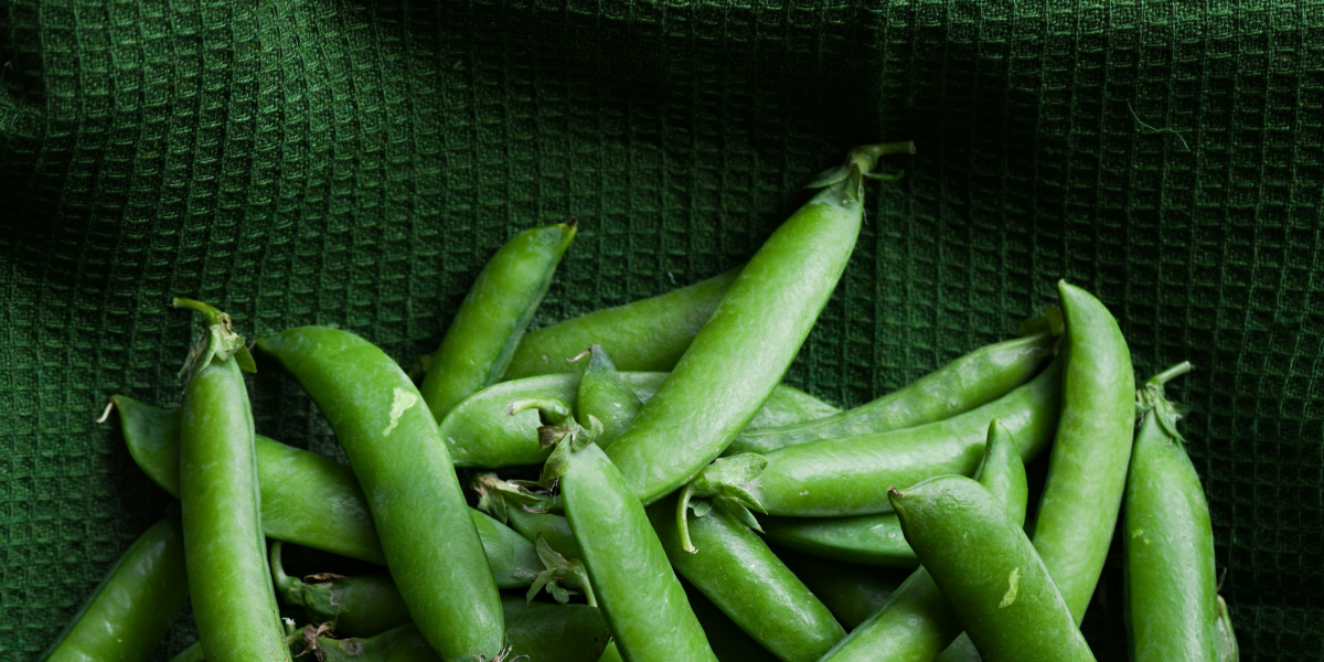 The Truth About Soy: Debunking the Myths and Embracing Its Benefits