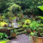 Importance of Garden Rooms For Women's Health and Why They Boost Wellbeing