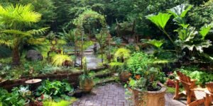 Importance of Garden Rooms For Women's Health and Why They Boost Wellbeing