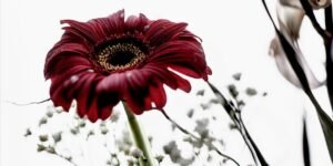 Cynthia Karalla's The Age of Beauty Finds Elegance in What Time Leaves Behind