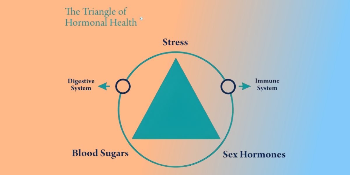 Exploring the “Triangle of Hormonal Health” - Claire Snowdon-Darling and Laura Knowles’ Contribution to Functional Wellness Models