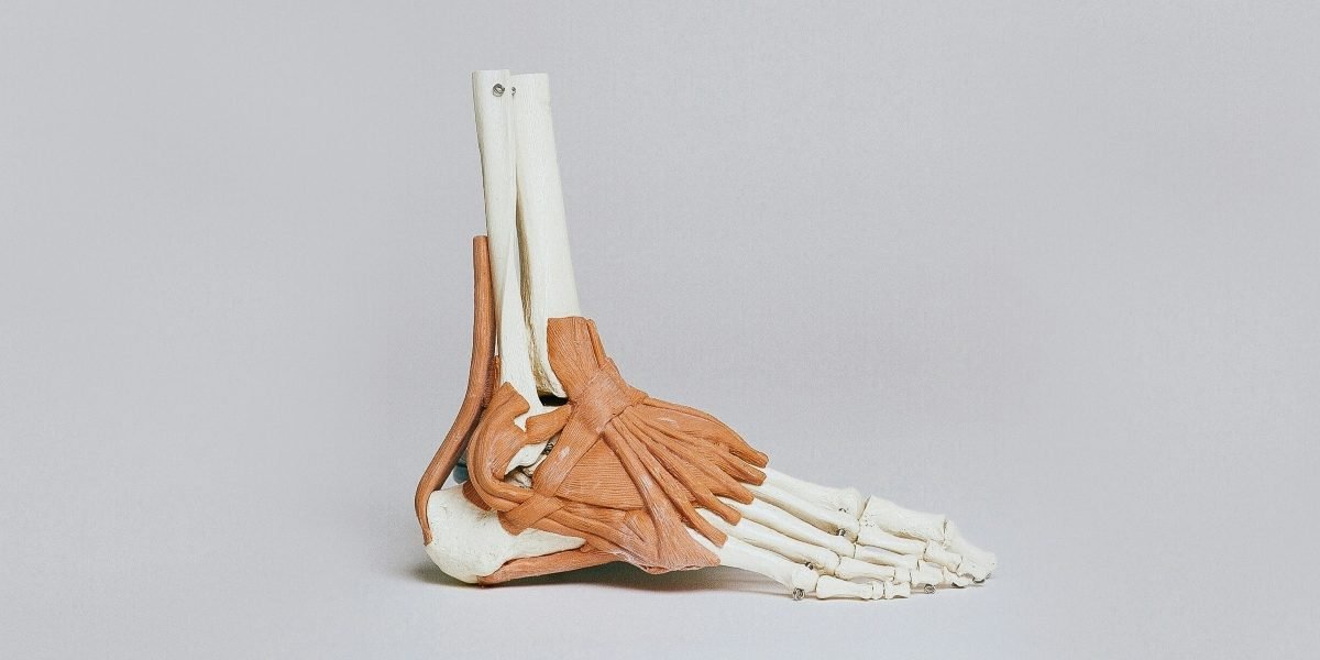 Regenerative Care for Achilles Tendinopathy in Charlotte